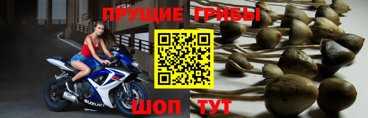 Саранск  Псилоцибиновые грибы MAGIC MUSHROOMS  Вход с VPN 